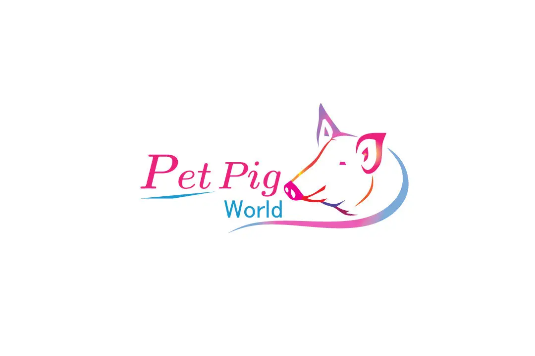 Pet Pig World
